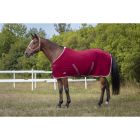 EQUITHÈME Polyfun burgundy halter for Thoroughbred 