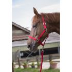 RIDING WORLD “Club” headcollar and leadrope set