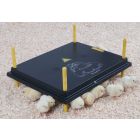 Panneaux chauffants pour poussins