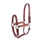EQUITHÈME “Éclat” burgundy headcollar for horse