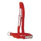 Nylon Kuhhalfter Rot