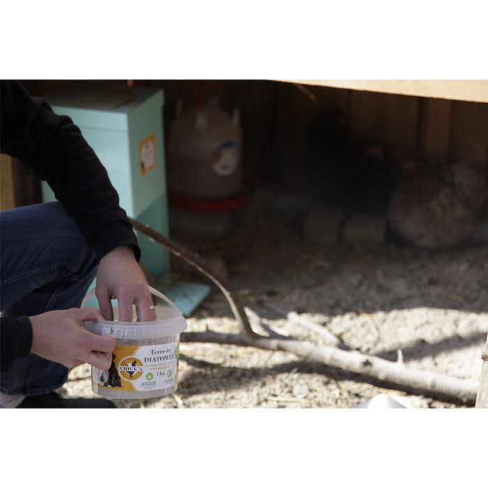 Terre de diatomée (non calcinée) 1 kg