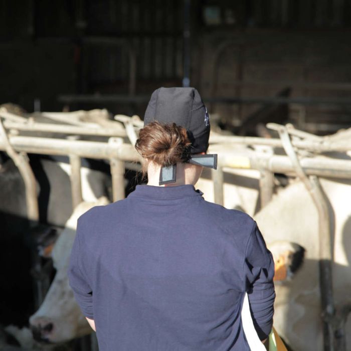 L-Xl Anti-Geruch-Turban