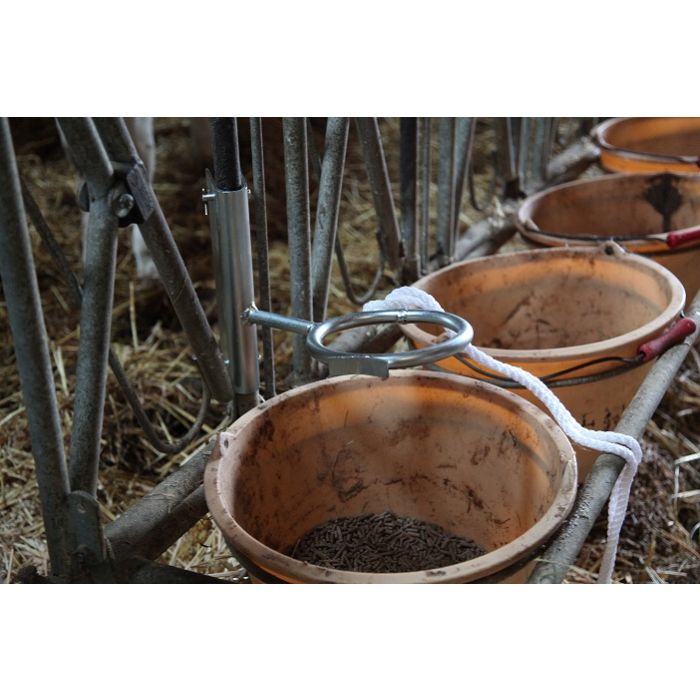 Anneau de contention pour veau