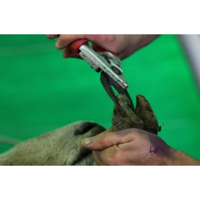 Cisaille onglons Felco poignée fixe