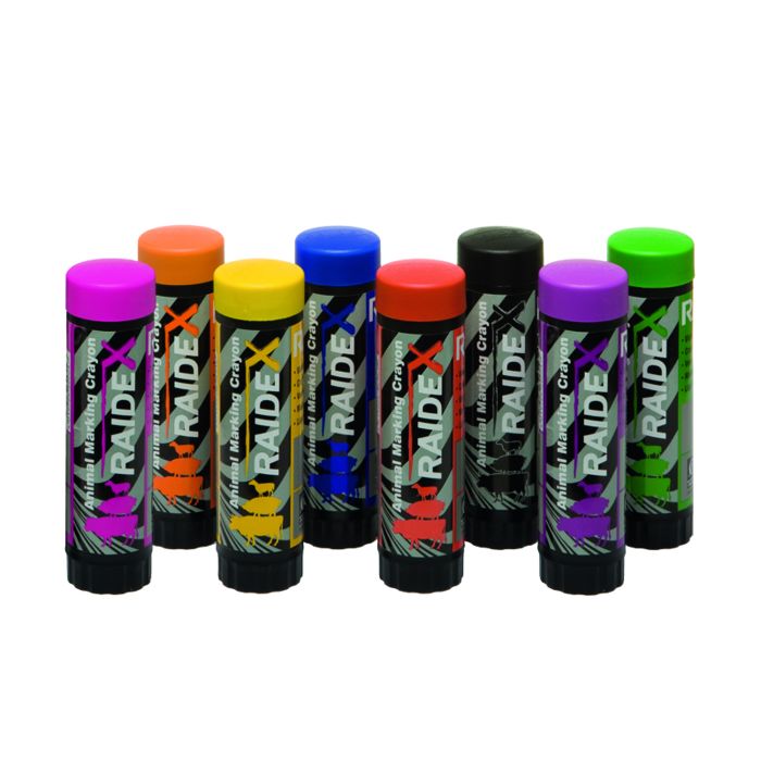 Crayon marqueur Raidex violet x10 