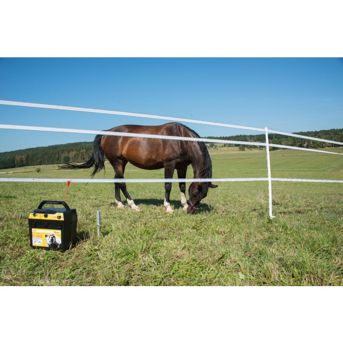 Poste mixte RANGER AN2000 HORIZONT 