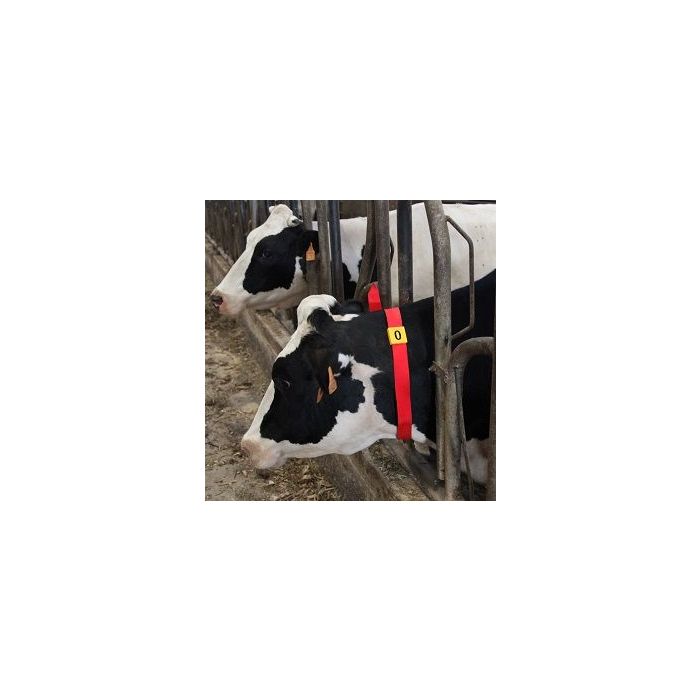 10 numéros d'identification jaune n°7