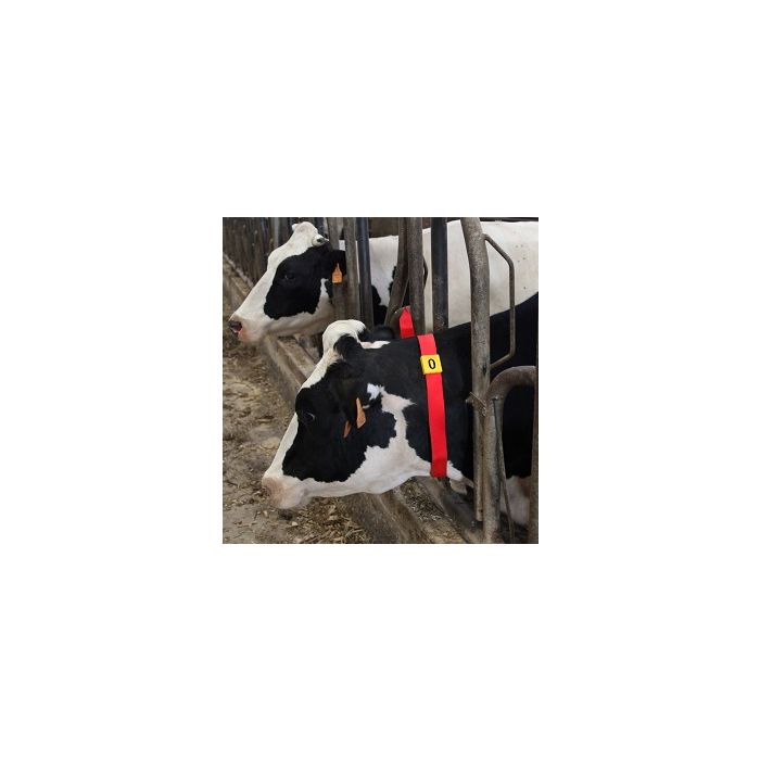 Passant d'identification jaune chiffre 5