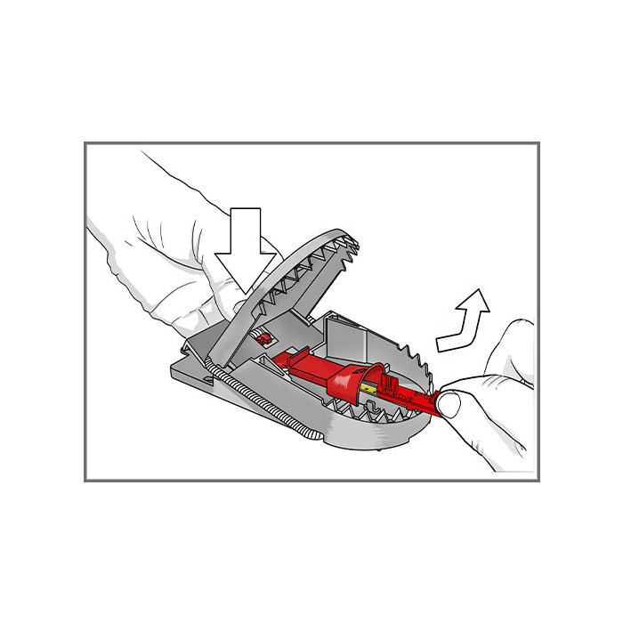 8*2 Pièges à souris SUPERCAT PRO avec présentoir - SWISSINNO