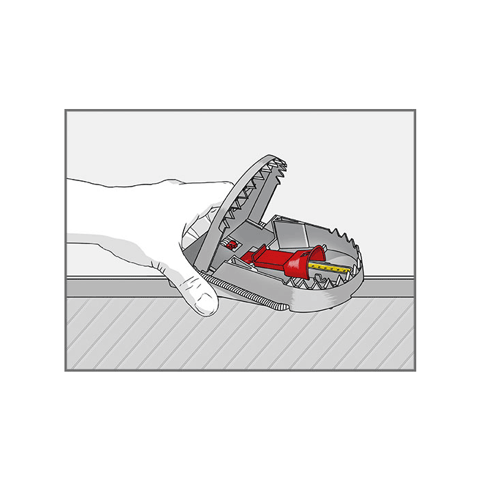 8*2 Pièges à souris SUPERCAT PRO avec présentoir - SWISSINNO