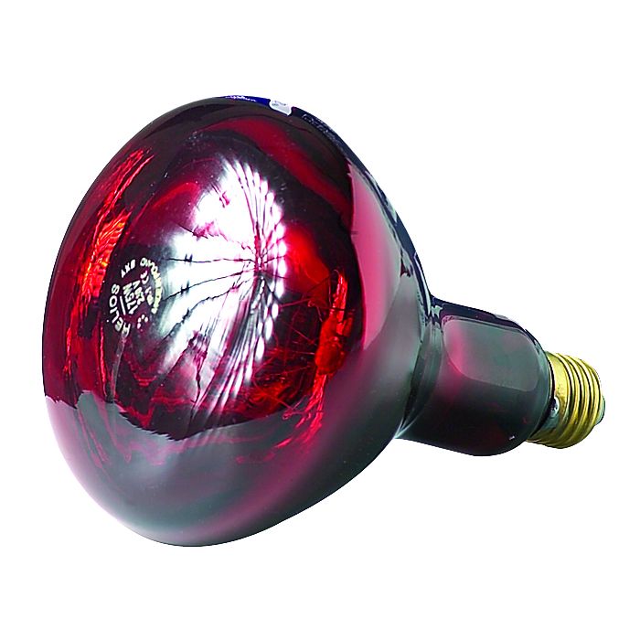 Ampoule Infrarouge Helios 175 W, rouge