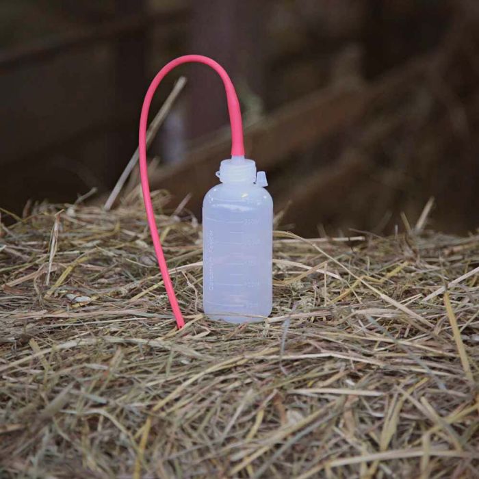 Sonde pélican pour agneau