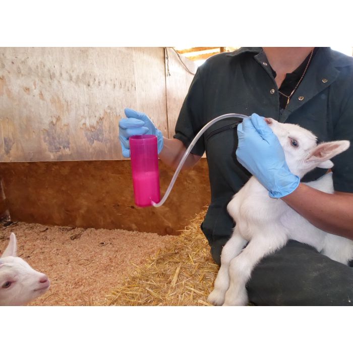 Lamb rehydrator ANTAHI 