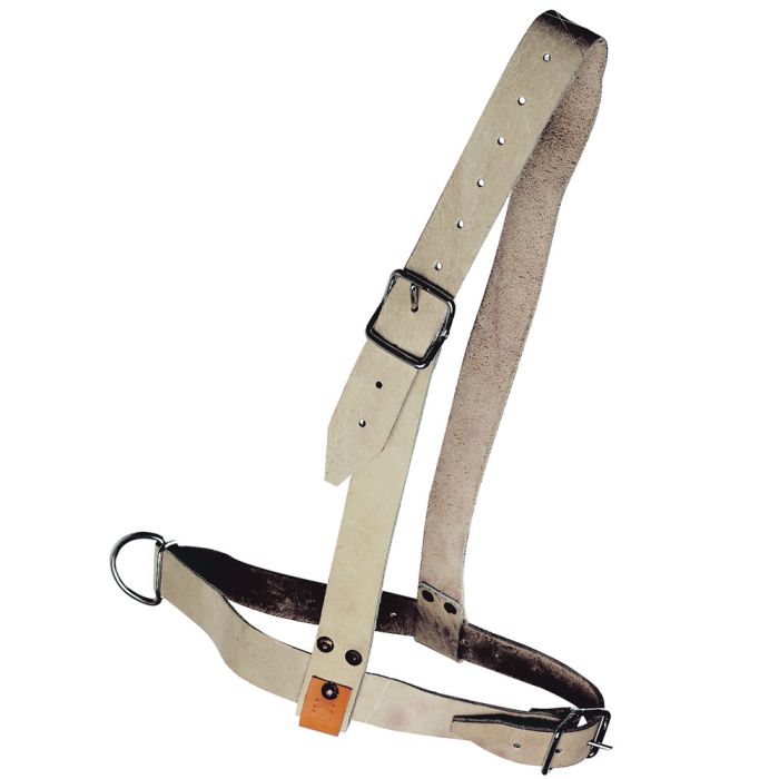 Licol cuir brun pour taureau