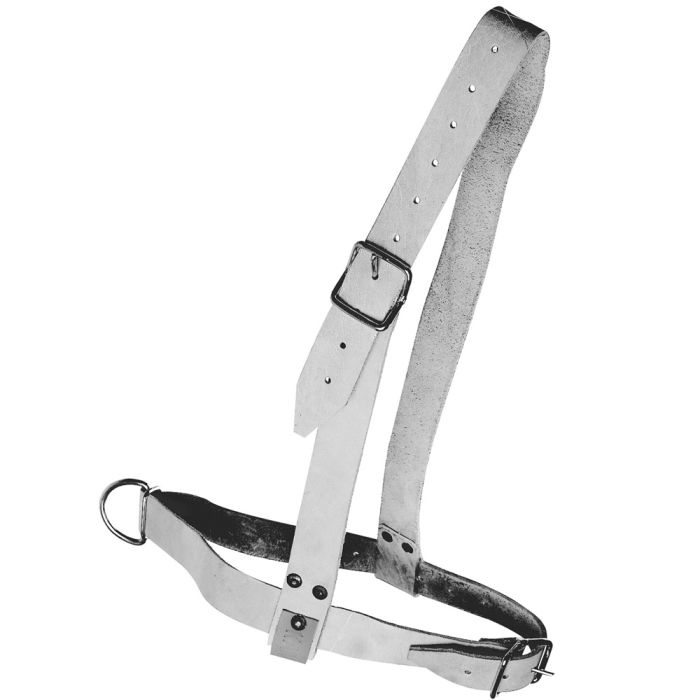 LICOL CUIR GRIS POUR TAUREAU