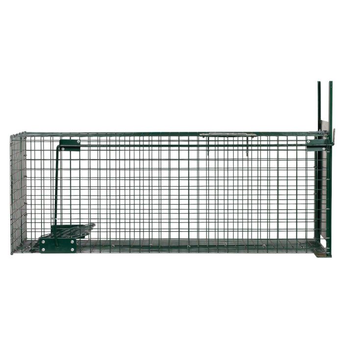  Boîte à fauve, 1 entrée, 82 x 32 x 31 cm - BOXTRAP