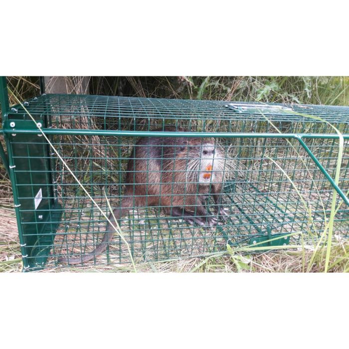 Boîte à fauve avec porte à glissière, 2 entrées, 103 x 31 x 31 cm - BOXTRAP