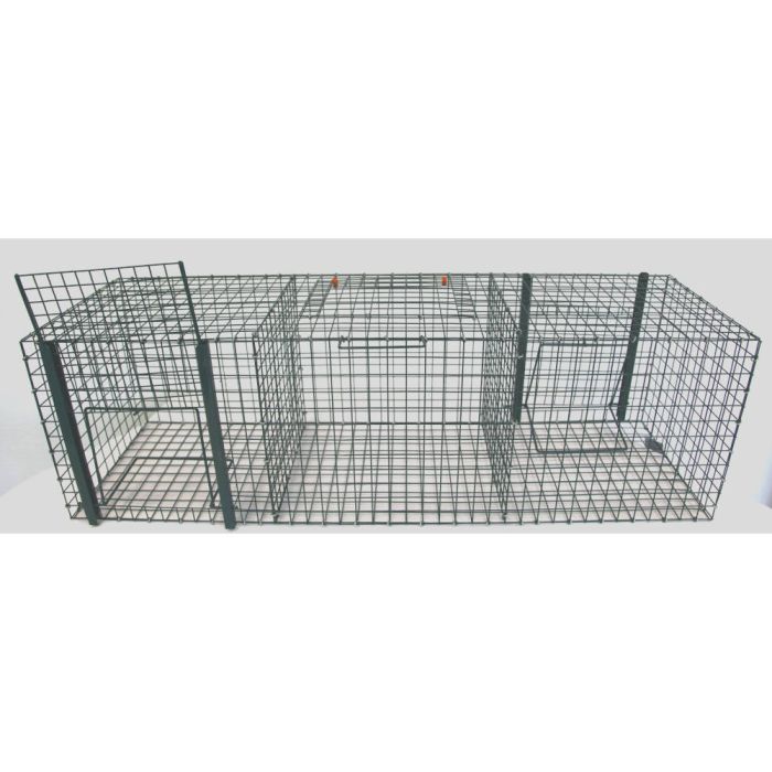 Krähenfalle Mit 3 Kammern