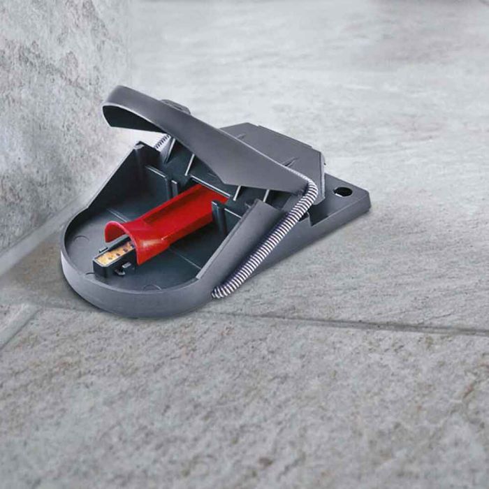 8*2 Pièges à souris SUPERCAT PRO avec présentoir - SWISSINNO