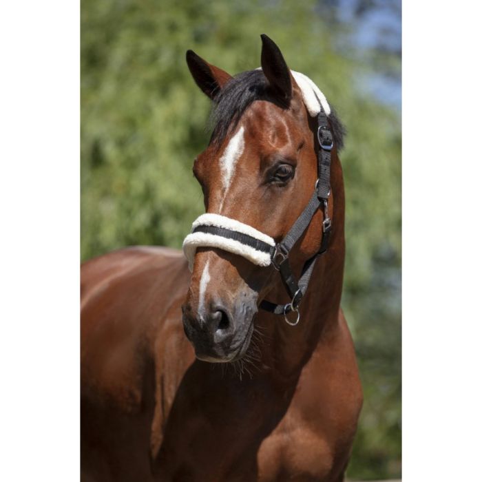 NORTON “Mouton synthétique doux” headcollar