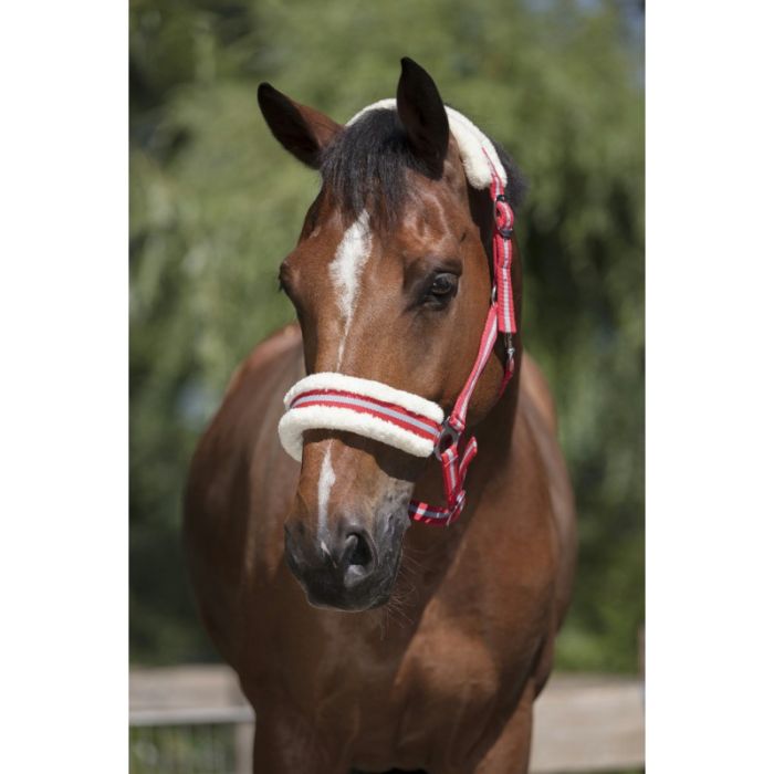 NORTON “Mouton synthétique doux” headcollar