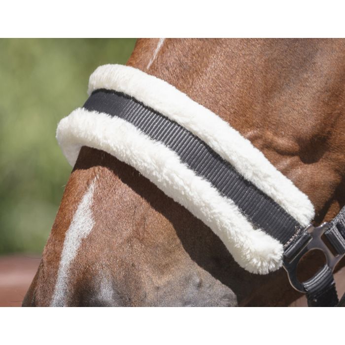 NORTON “Mouton synthétique doux” headcollar