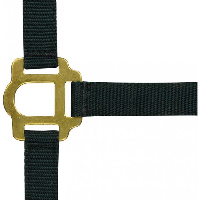 RIDING WORLD Headcollar