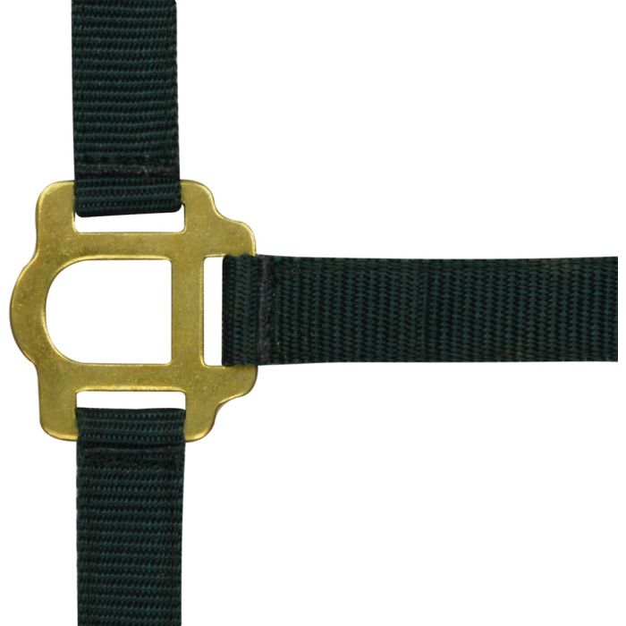RIDING WORLD Headcollar