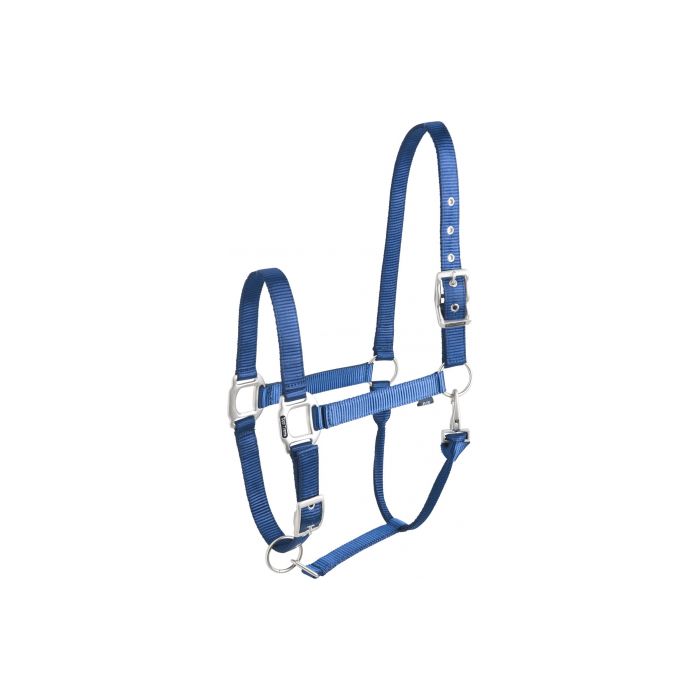 EQUITHÈME “Éclat” blue headcollar for horse
