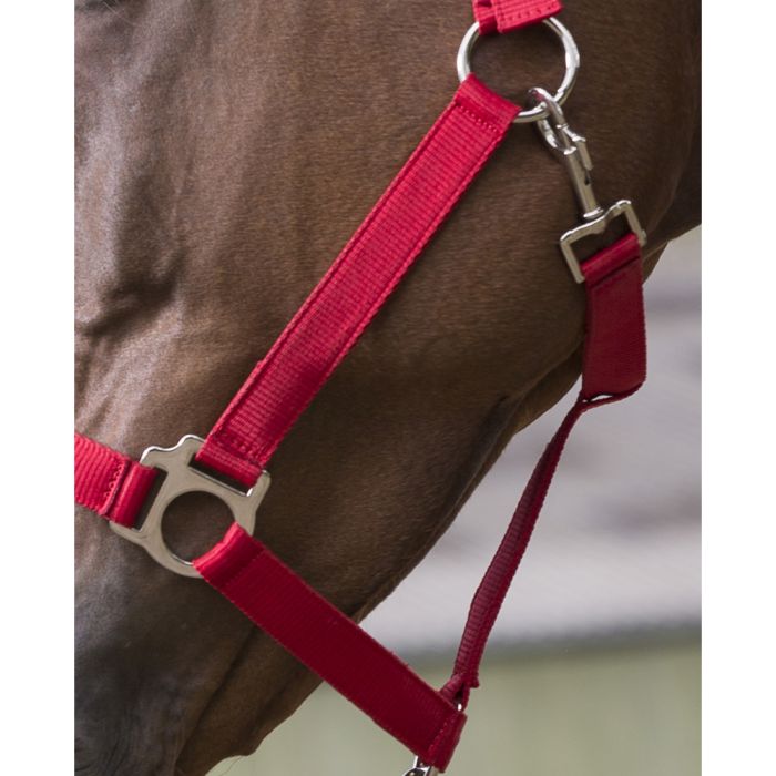 RIDING WORLD “Club” headcollar and leadrope set