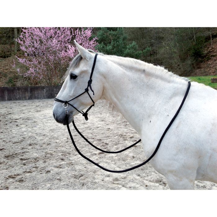 NORTON Ethological halter with reins
