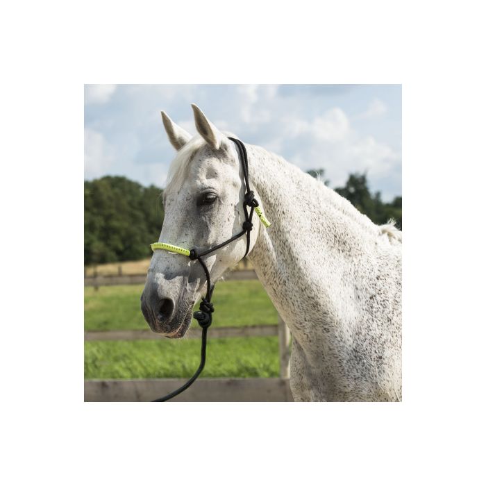 NORTON “Fun colour” Ethological headcollar and lead rope  black/ neon green thoroughbred