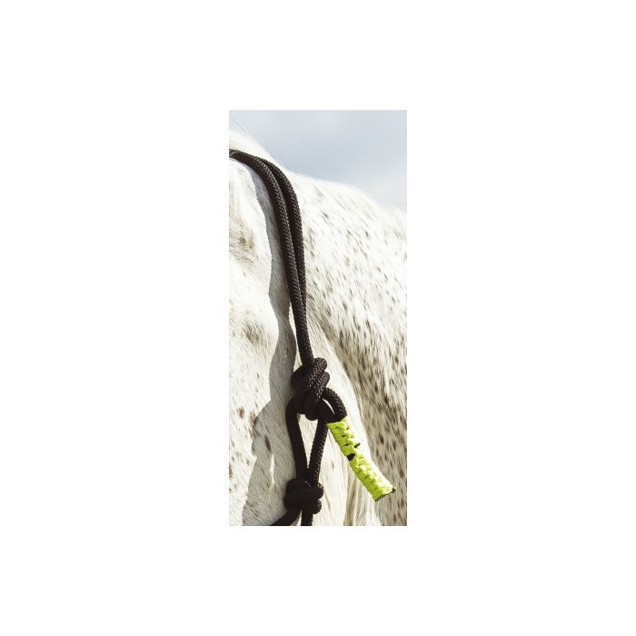 NORTON “Fun colour” Ethological headcollar and lead rope  black/ neon green thoroughbred