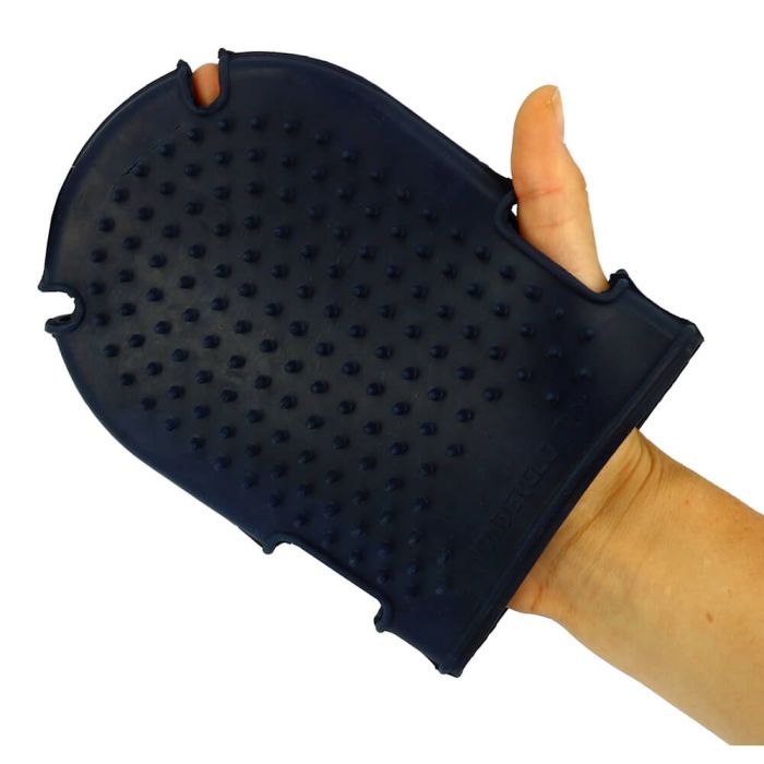 Currying Glove + Brush