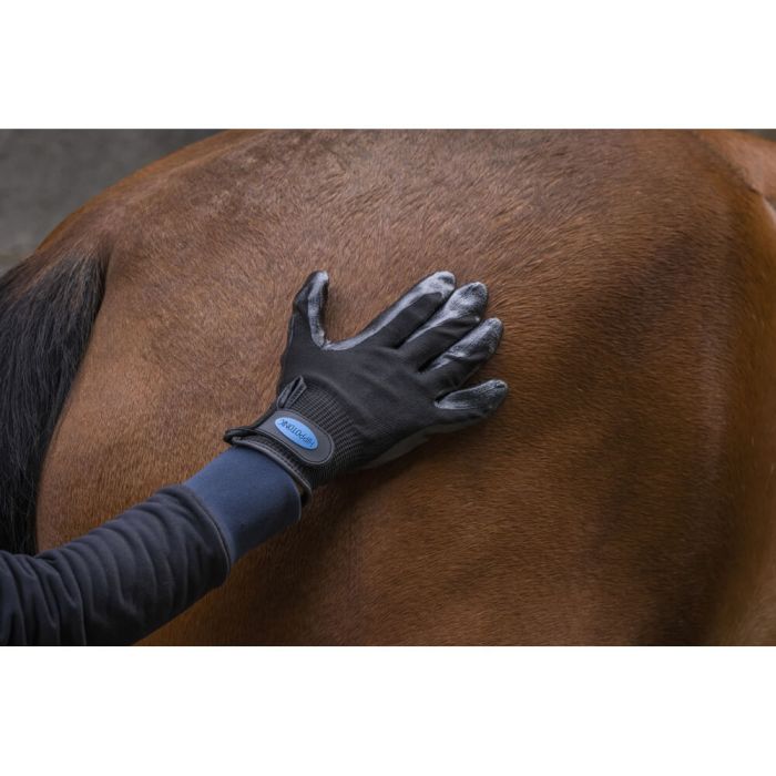 HIPPOTONIC Anti-shedding Grooming Glove