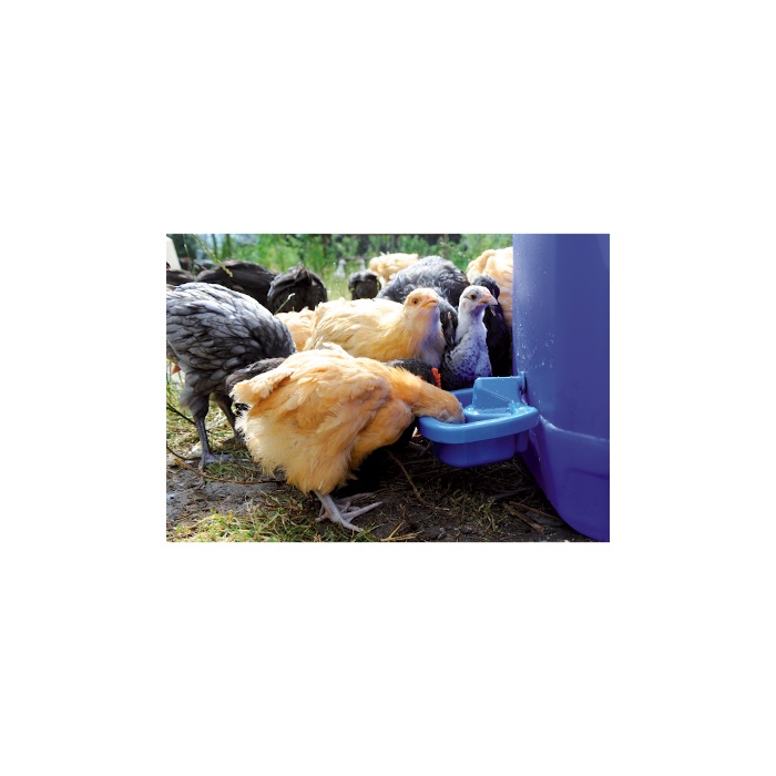 Abreuvoir Maxi Cup multifonction 0,5L