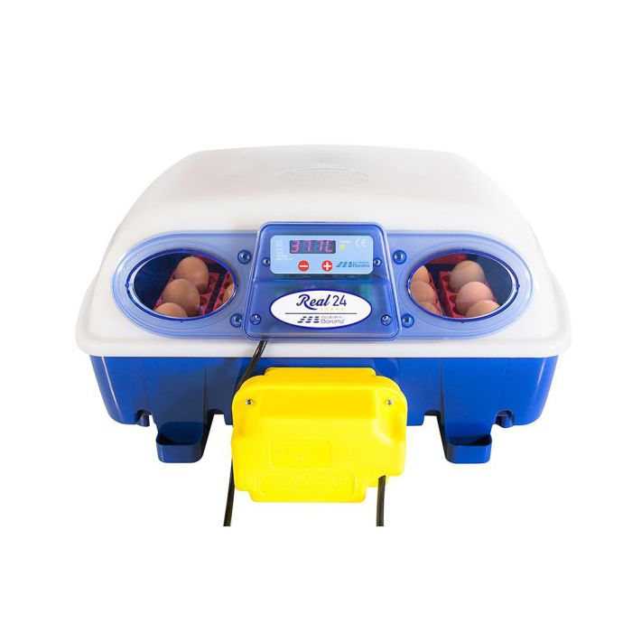 Couveuse digitale BOROTTO 24 oeufs automatique 