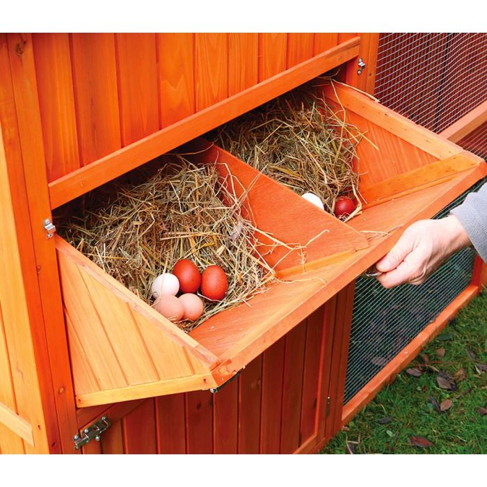 Pondoir qui se trouve sur la gauche du poulailler