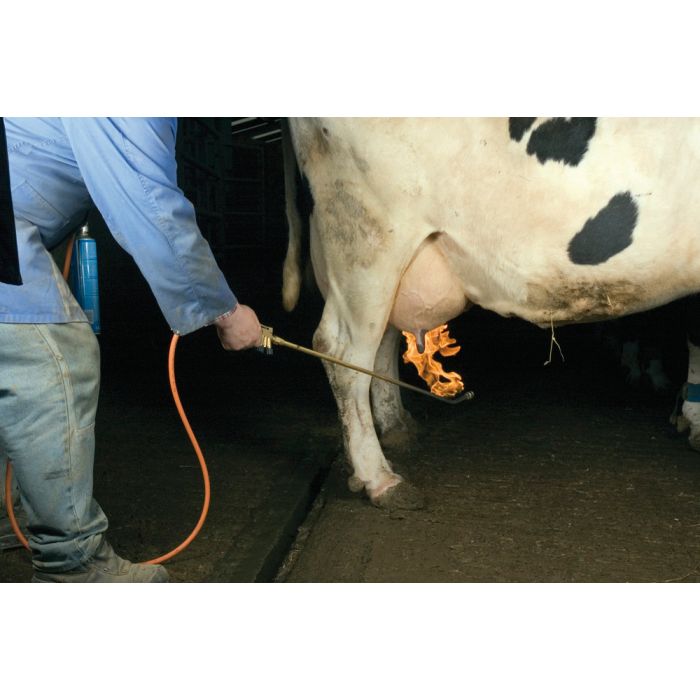 Epilateur lance thermique complet