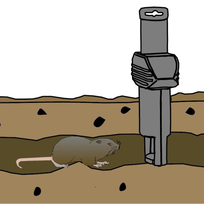 6 x SuperCat Wühlmausfalle