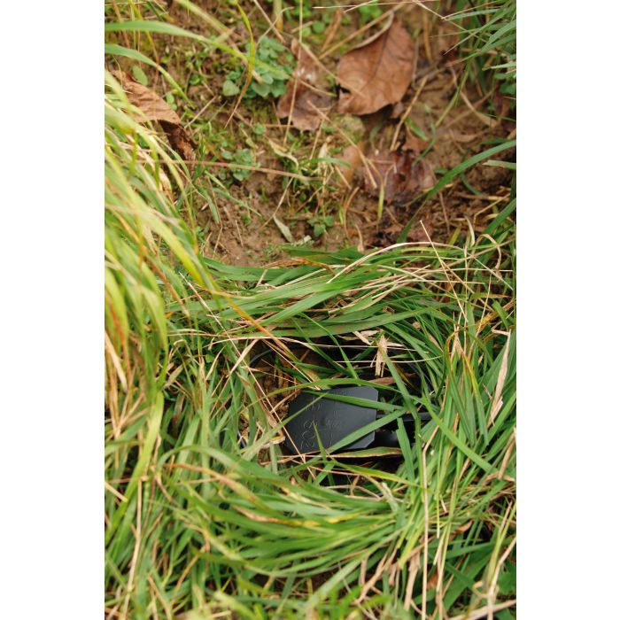 Piège Belisle non emballé