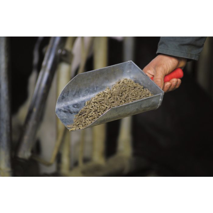 Pelle en tôle galvanisée 1,5 L