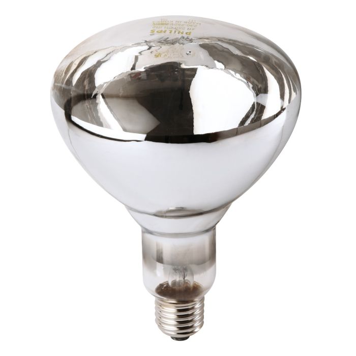 Ampoule PHILIPS IR à vis blanche 250W