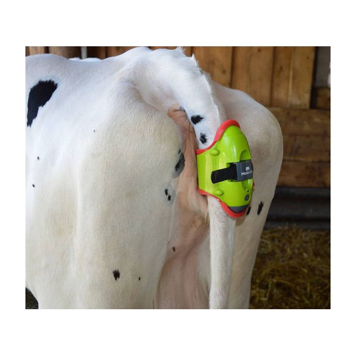 Détecteur de vêlage, MOOCALL 