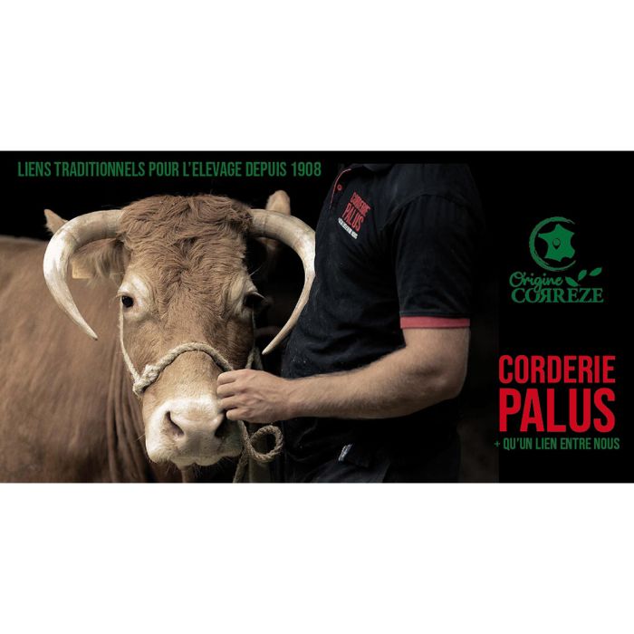 Sisal / polypropylene halter Ø 16 mm, 3.5 m