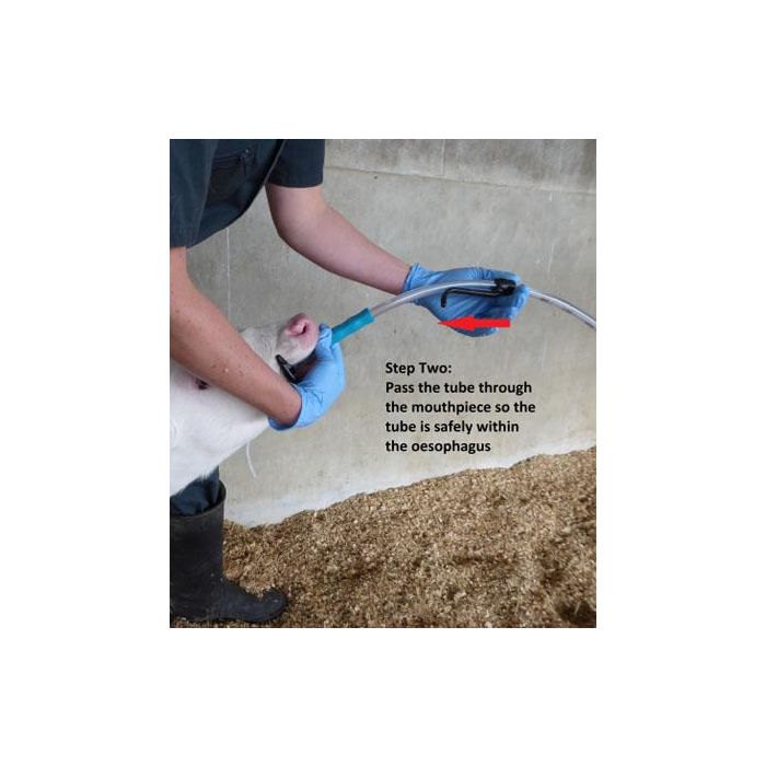 Sonde complète Flexituber ANTAHI 