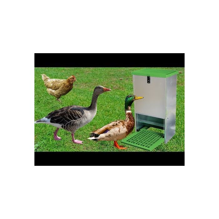 Mangeoire anti-nuisible à trémie 20 kg