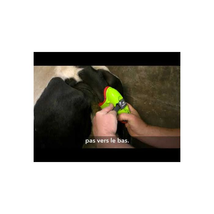 Détecteur de vêlage, MOOCALL 