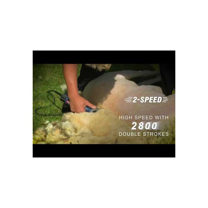  2 speeds XPERT HEINIGER clipper for sheep  